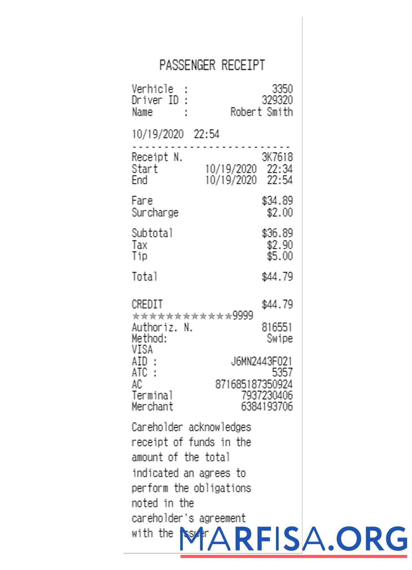 Printable PASSENGER receipt example